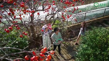 第424期01月14日命中注定你操我！你跟我妈结婚时候你想上我，你跟我老公的妈结婚了你还想上我，横是这么多年这顿操躲不过了呗。