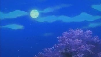 ナ-チ-ュ-ラ-ル- Natural Vol.01